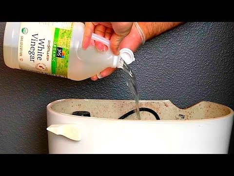 Das passiert, wenn du Essig in die Toilette schüttest