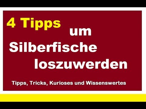Silberfische loswerden Silberfischchen bekämpfen Hausmittel 4 Tipps Natron ohne Chemie
