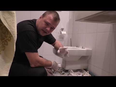 WC undicht beim Spülen was tun? Das Klo tropft Toilette abdichten