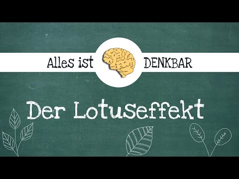 Lotuseffekt/Lotoseffekt Erklärung - Bionik der Pflanzen