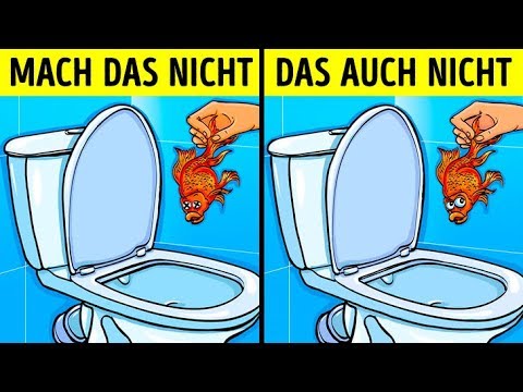 12 Dinge, die man nie die Toilette runterspülen sollte