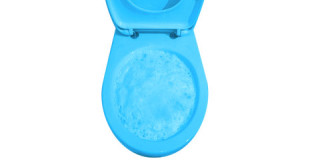 toilette reinigen