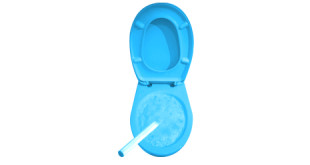 wie toilettenbürste reinigen