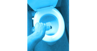 toilette entkalken
