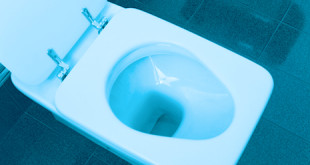 neue toilette