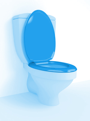 Trends bei Toilettendeckel