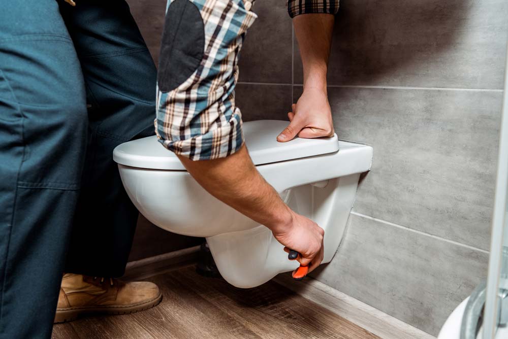 Toilette erneuern