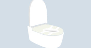 Toiletteneinsatz